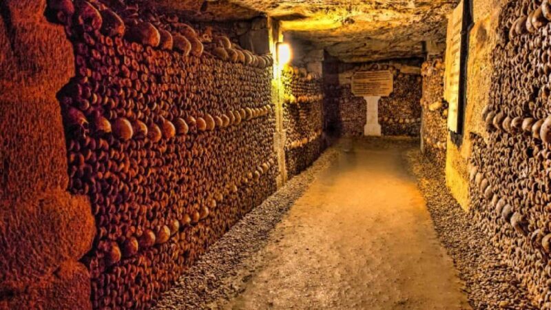 From Alexandria Port: Citadel & Catacombs Private City Tour - Key Points