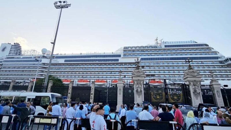 From Alexandria Port: Citadel & Catacombs Private City Tour - Who Is This Tour Best For?