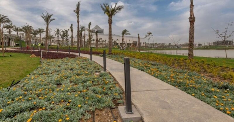 From Alexandria Port: National Museum & Egyptian Museum Tour - The Value of This Tour