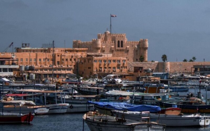 From Alexandria Port: Private Guided Day Tour of Alexandria - An In-Depth Look at the Alexandria Private Day Tour