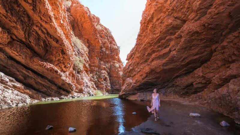 From Alice Springs: West MacDonnell Ranges Half Day Trip - Practical Details and What to Bring