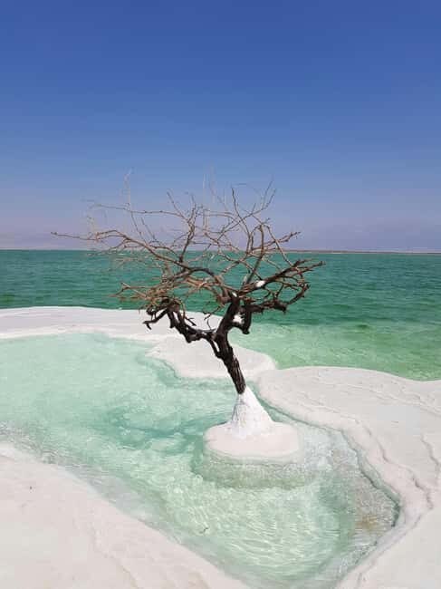 From Amman-Dead Sea, Mount Nebo, Madaba, & Baptism Day Trip - Mount Nebo: A Sacred Peak with Panoramic Views