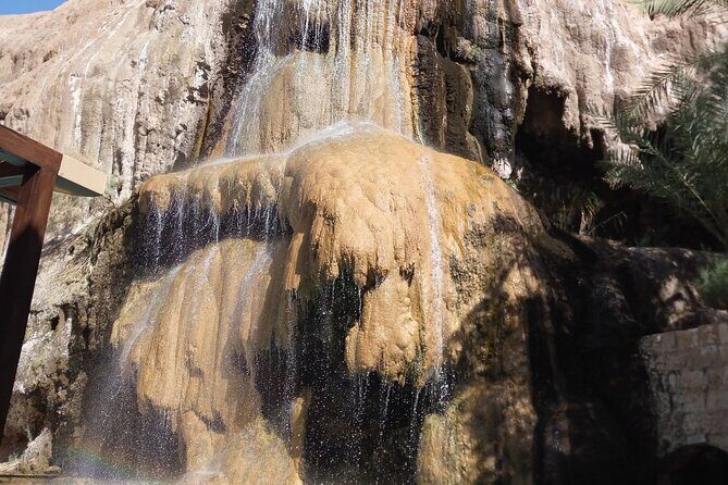 From Amman :Full day Dead Sea and Ma'in Hot spring tour - An In-Depth Look at the Tour Experience