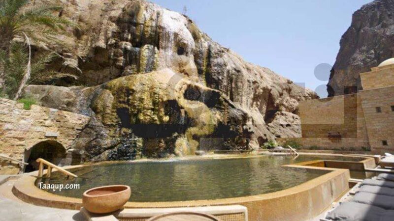 From Amman :Full day Dead Sea and Ma'in Hot spring tour - Key Points