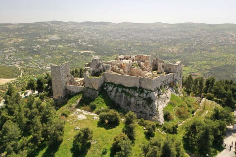 From Amman: Jerash and Ajloun Castle Private Full-Day Trip - Exploring Jerash: A Roman Wonder