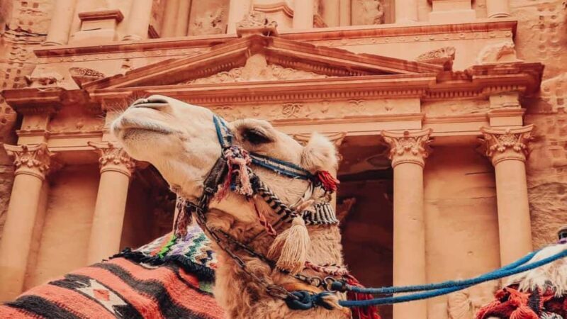 From Amman: Petra, Wadi Rum & Dead Sea 3 days private tour - What You Get for the Price