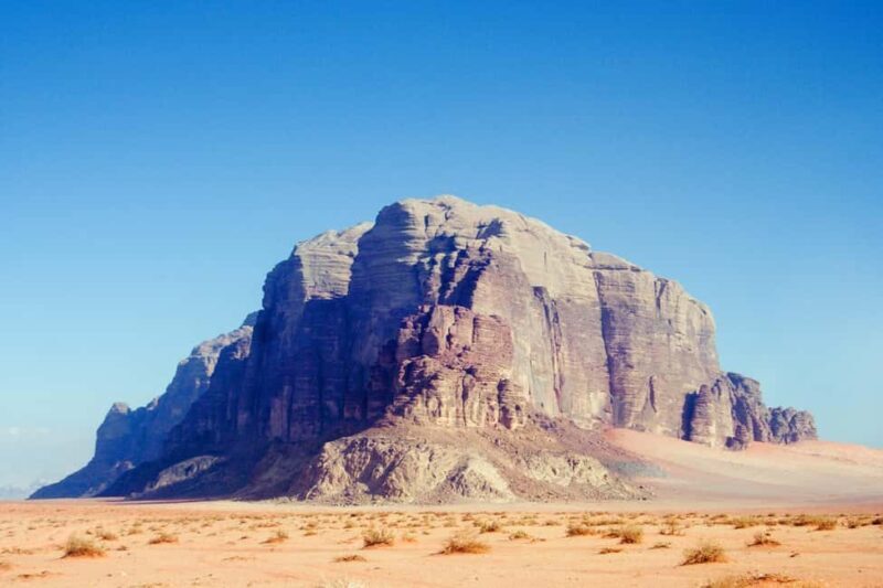 From Amman: Private Day Tour to Petra & Wadi Rum - Practical Details and Value