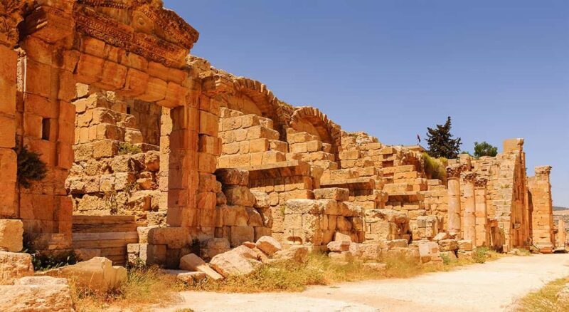 From Amman: Private Half-Day Tour to Jerash - Introduction