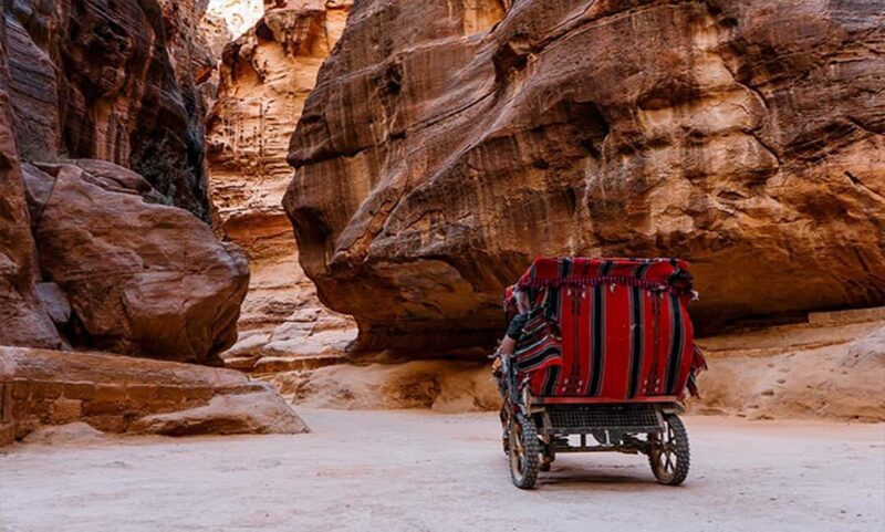 From Amman: Private Petra Day Trip with Guide - Setting the Scene: What to Expect