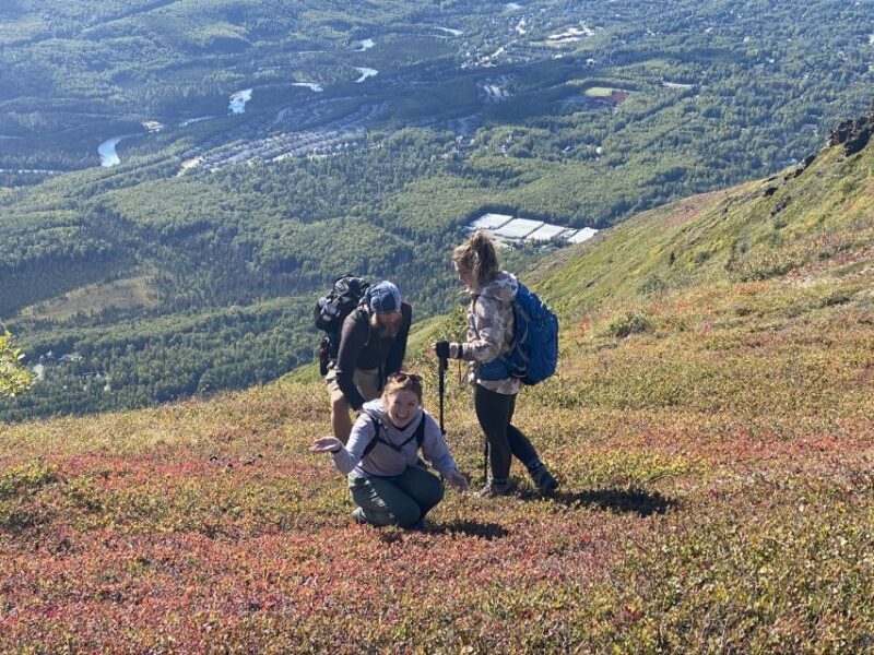 From Anchorage: Chugach State Park Guided Alpine Trek - Final Thoughts
