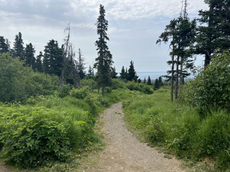 From Anchorage: Chugach State Park Walk with Naturalist - Price and Value