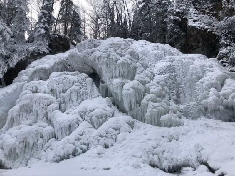 From Anchorage: Chugach State Park Winter Walking Tour - An In-Depth Look at the Experience