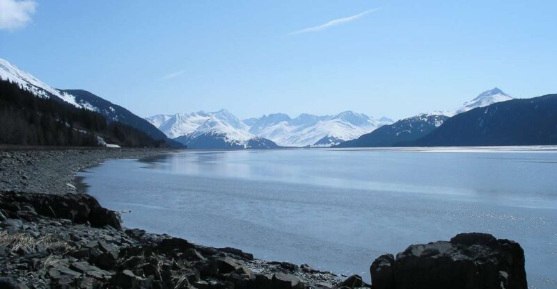 From Anchorage: Portage Glacier and Wildlife Full-Day Tour - An In-Depth Look at the Tour
