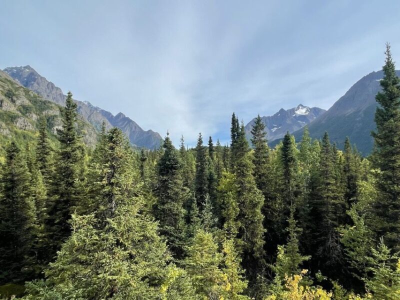 From Anchorage: Valley and Forest Hike with Naturalist Guide - Exploring the Itinerary in Detail