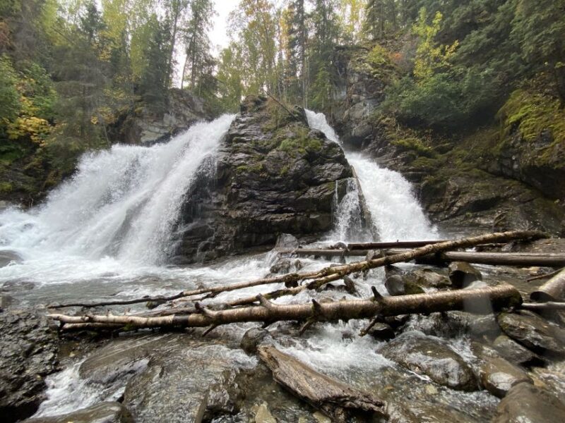 From Anchorage: Valley and Forest Hike with Naturalist Guide - Practical Tips for Participants