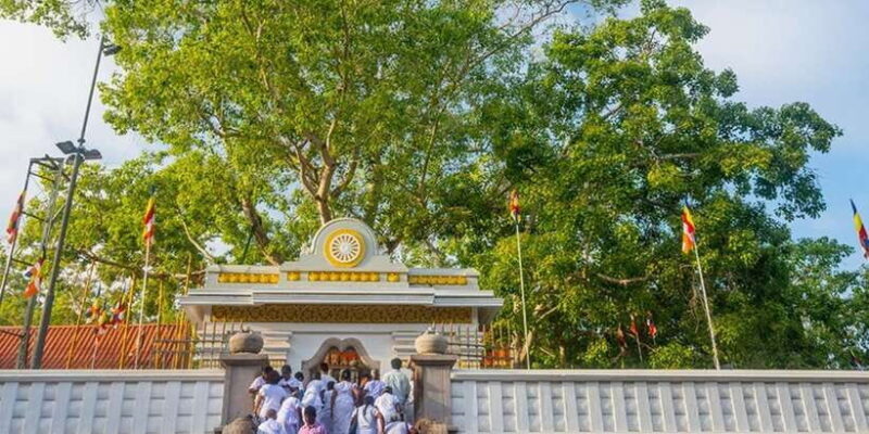 From Anuradhapura: Ancient City of Anuradhapura by Bike - A Closer Look at the Anuradhapura Bike Tour