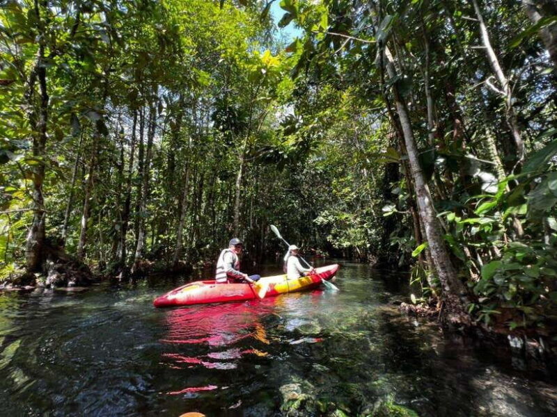 From Ao Nang: Kayaking at Klong Rud with Hotel Transfers - An Honest Breakdown of the Experience