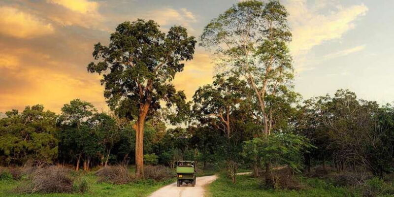 From Arugambay to Tangalle/Mirissa with Yala Leopard Safari - The Return: Relaxing Reflection and Practical Details