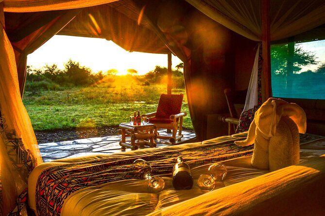From Arusha: 11 Days famous Serengeti Inside out safari trip - The Experience and Value