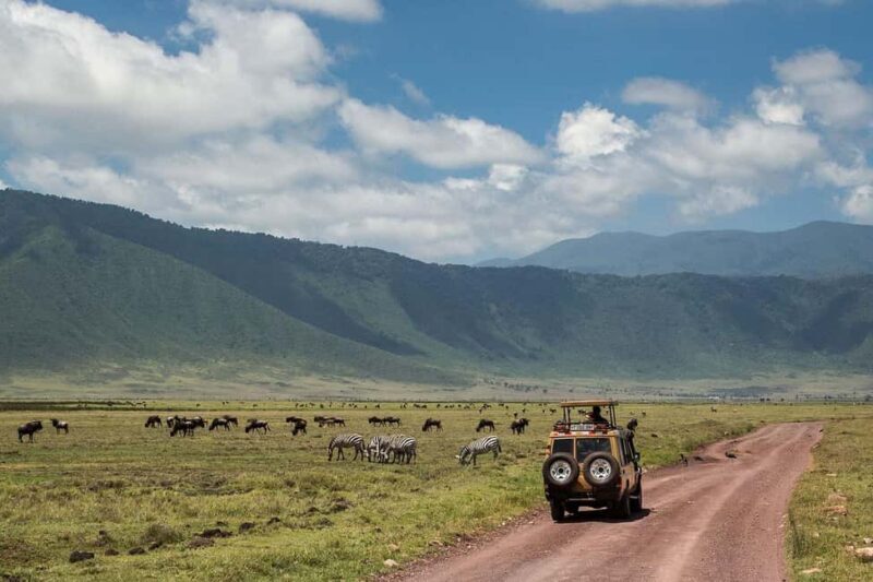 From Arusha: 3-Day Mikumi and Ruaha National Parks Safari - Why This Tour Offers Real Value