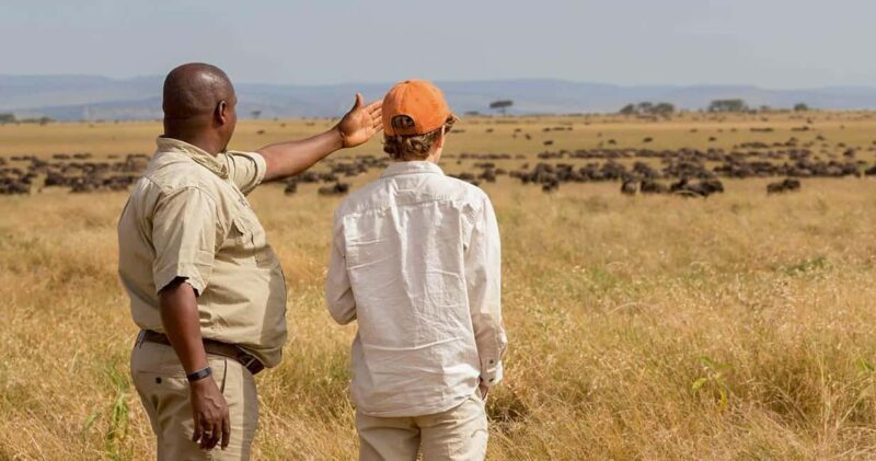 From Arusha: 3-Day Tarangire, Ngorongoro and Manyara Safari - An In-Depth Look at the 3-Day Tanzania Safari