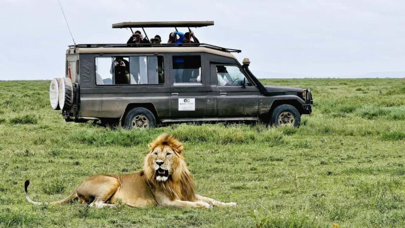 From Arusha: 4-Day Ngorongoro Safari, Lake Manyara & Maasai - What’s Included and What’s Not
