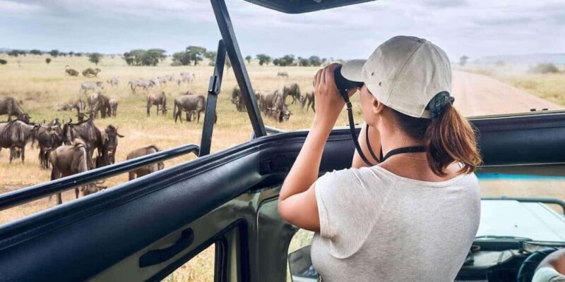 From Arusha: 4-Day Serengeti National Park Safari - The Itinerary in Detail