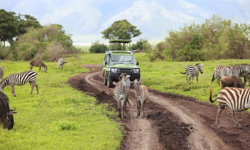From Arusha: 4-Day Serengeti National Park Safari - FAQ