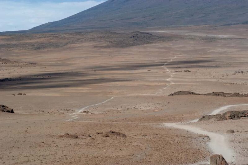 From Arusha: 7 Day Guided Kilimanjaro Rongai Route - An In-Depth Look at the Rongai Route Experience