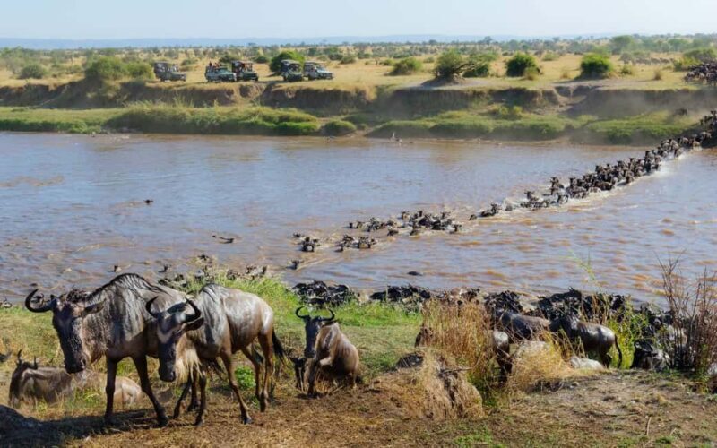 From Arusha: 7-Day Luxury Safari to Lake Manyara & Serengeti - Key Points
