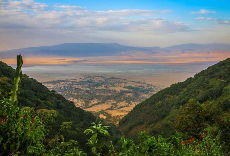 From Arusha: 8 Days Great migration Private Safari - Who Should Consider This Tour?