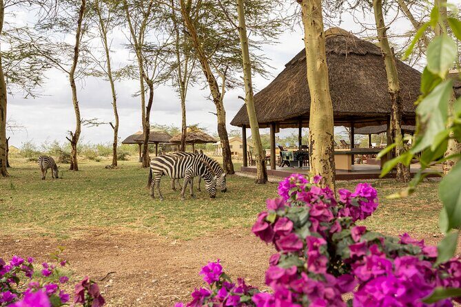 From Arusha: 9 Days Private Guided Classic Game Drive in Tanzania - Final Thoughts