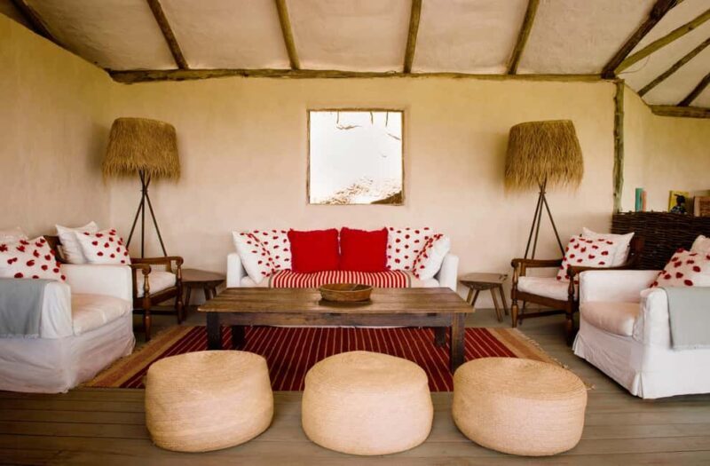 From Arusha: Safari in Serengeti, Tarangire, and Ngorongoro - Who Will Love This Safari?