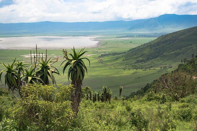 From Arusha: Tarangire and Ngorongoro Crater 3-Day Private Safari - Final Thoughts