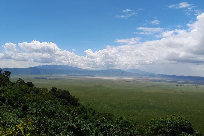 From Arusha to Zanzibar : 11 days From Bush to Beach safari - Who Will Enjoy This Tour?