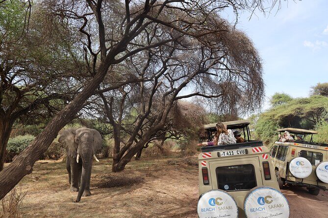 From Arusha to Zanzibar : 11 days From Bush to Beach safari - Final Thoughts: Is It Right for You?