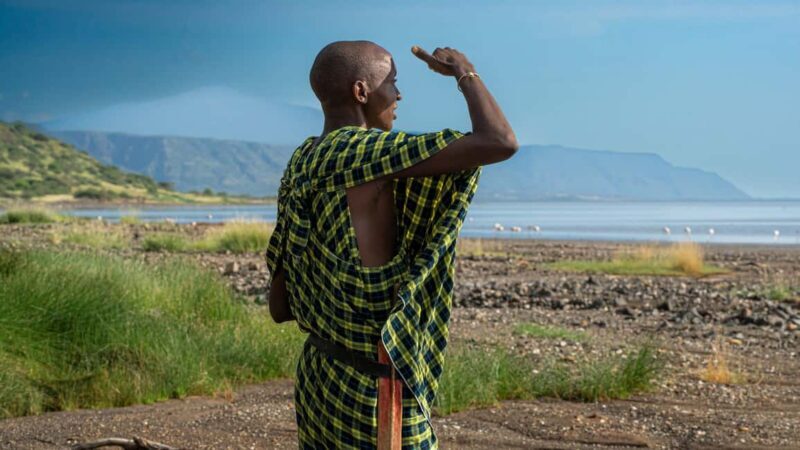 From Arusha to Zanzibar : 11 days From Bush to Beach safari - Key Points
