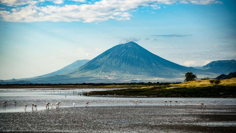 From Arusha:3Day Flamingo Safari Magic Lake Natron Tarangire - The Value of the Tour