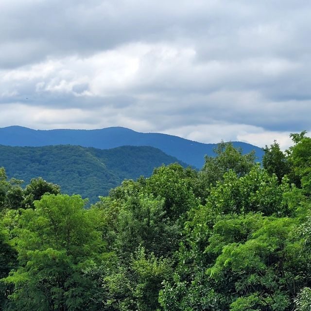 From Atlanta: Half-Day or Full-Day Wine Country Tasting Trip - An In-Depth Look at the Experience