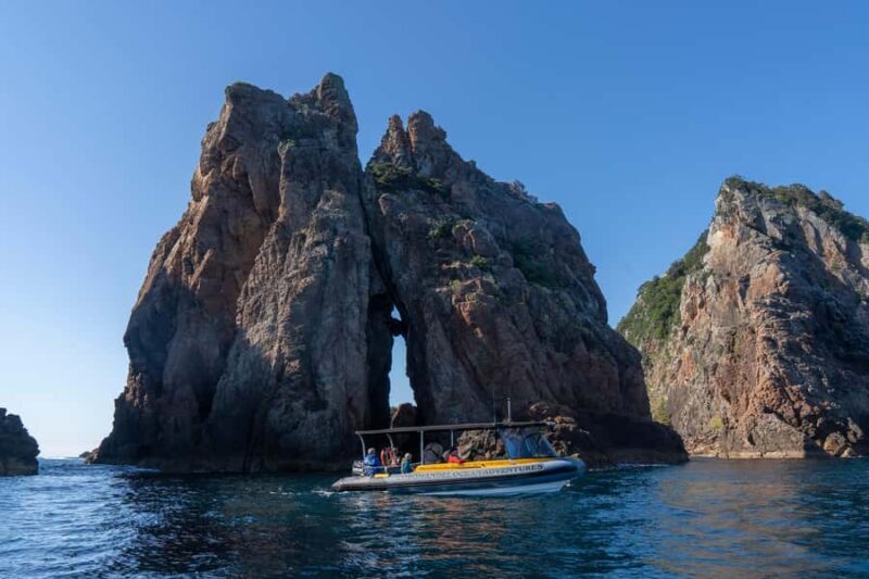 From Auckland: ALDERMAN ISLANDS (Ruamaahu) Day Trip - Key Points