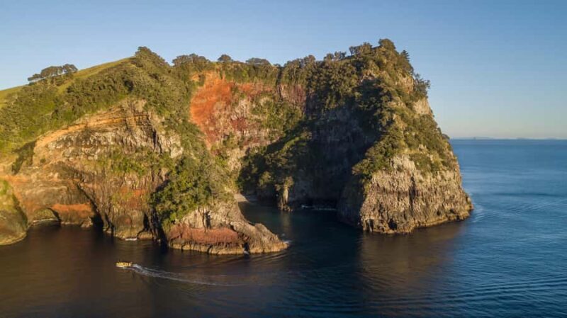 From Auckland: ALDERMAN ISLANDS (Ruamaahu) Day Trip - A Closer Look at the Tour Experience
