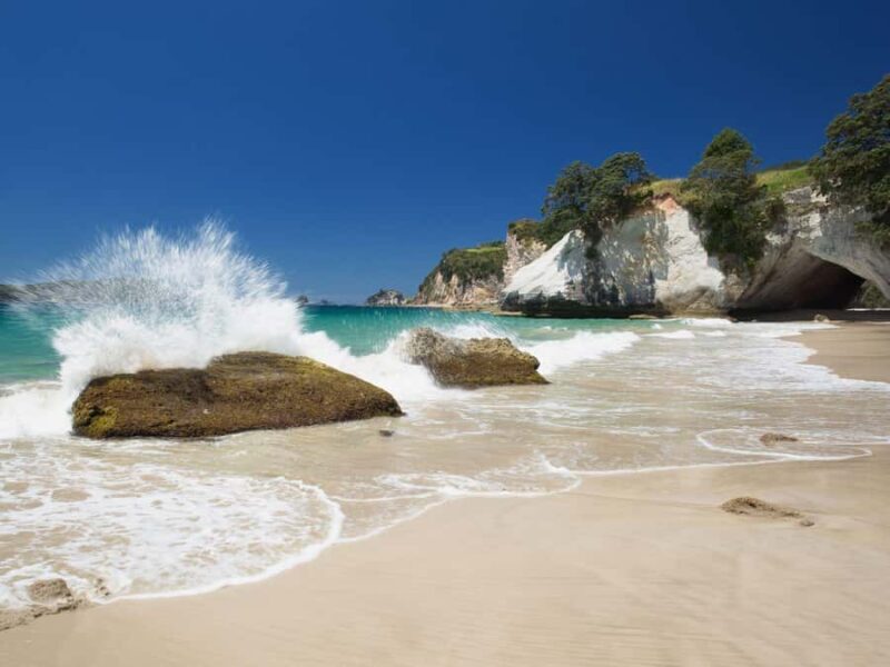 From Auckland: Cathedral Cove & Hot Water Beach Tour - Exploring the From Auckland: Cathedral Cove & Hot Water Beach Tour