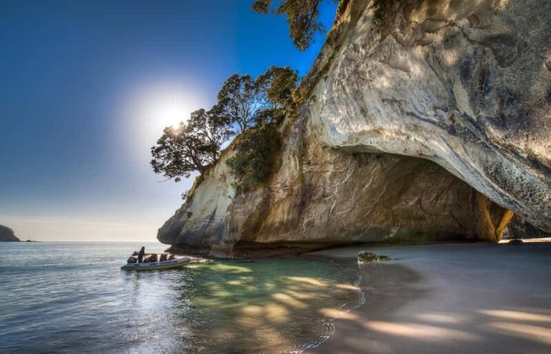 From Auckland: Cathedral Cove & Hot Water Beach Tour - The Journey to Cathedral Cove