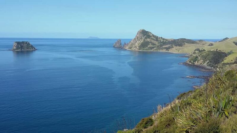 From Auckland: Cathedral Cove & Hot Water Beach Tour - Return Journey and Final Stops