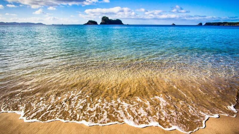 From Auckland: Cathedral Cove & Hot Water Beach Tour - Transportation and Group Size
