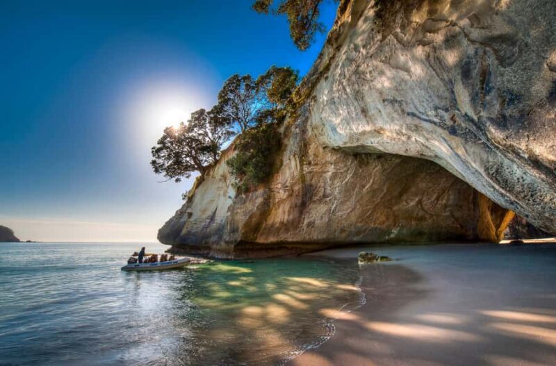 From Auckland: Cathedral Cove & Hot Water Beach Tour - What to Bring and Tips