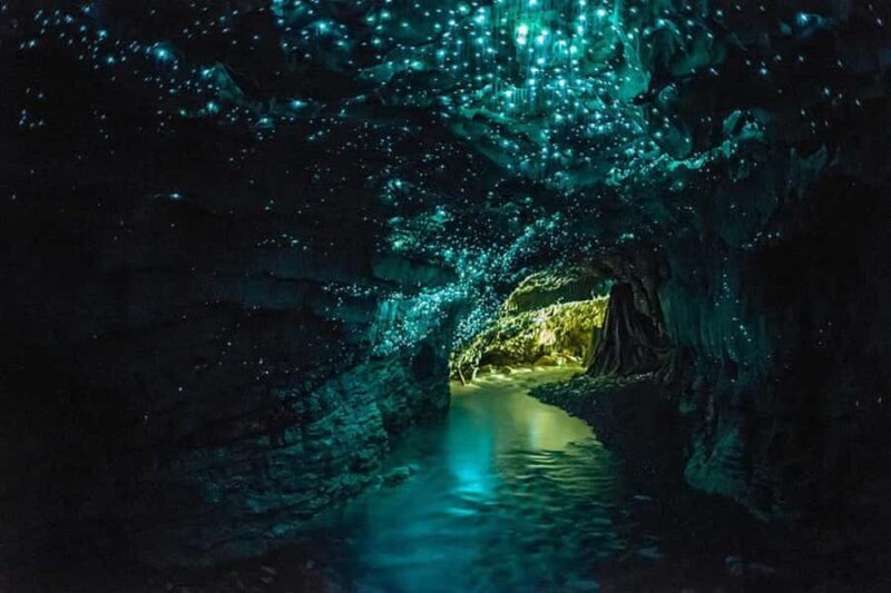 From Auckland: Day Trip to Waitomo Glow Worm Caves - An Inside Look at the Waitomo Glowworm Caves Day Trip