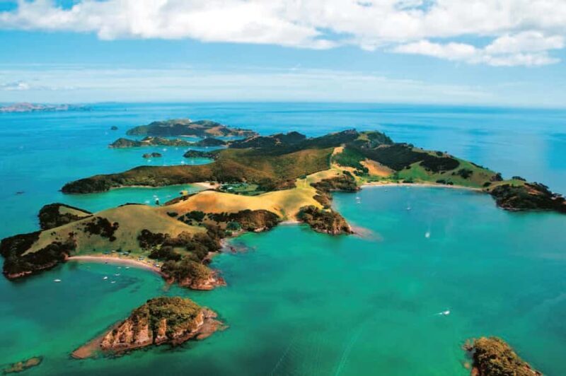 From Auckland: Full Day Private Tour to the Bay of Islands - Return Journey and Practicalities