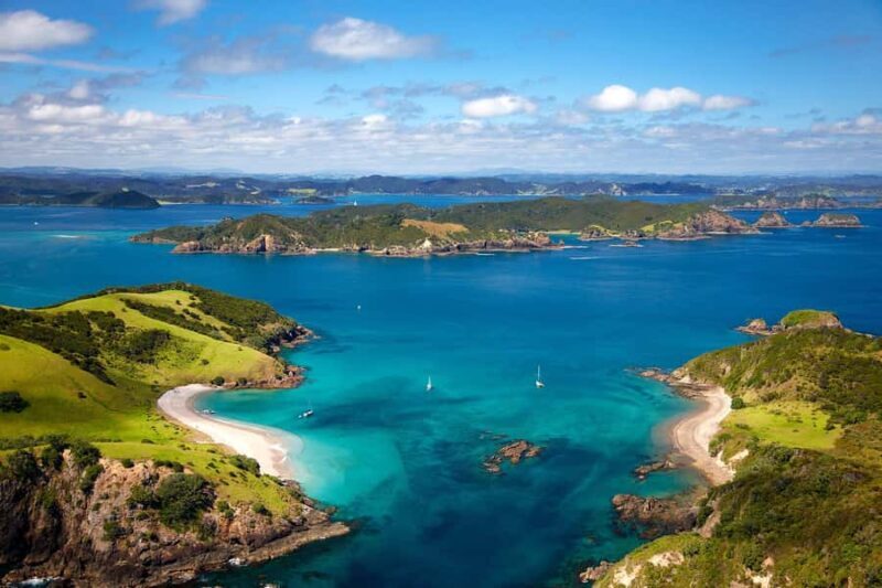 From Auckland: Full-Day Tour to the Bay of Islands - An Overview of the Full-Day Journey