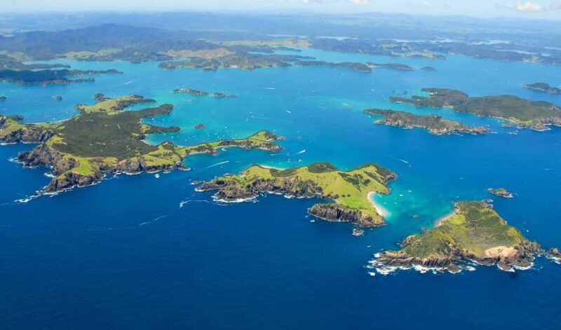 From Auckland: Full-Day Tour to the Bay of Islands - The Overall Value and Experience